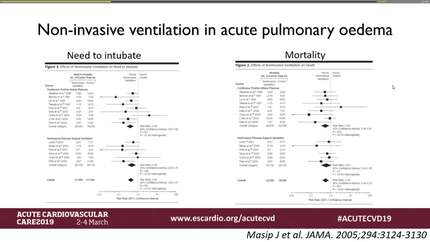Presentation thumbnail
