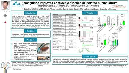 Presentation thumbnail