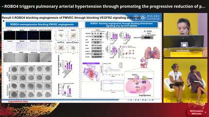 Presentation thumbnail