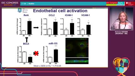Presentation thumbnail