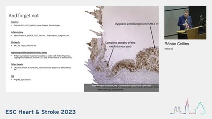 Presentation thumbnail