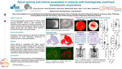 Presentation thumbnail