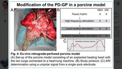 Presentation thumbnail