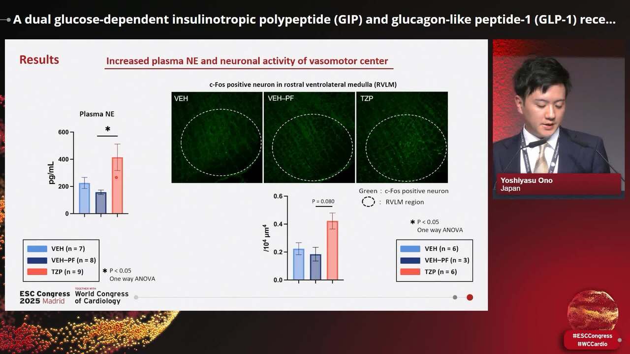 Molecular actions of GLP-1 agonists and incretins
