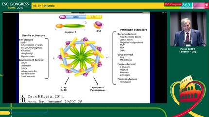 Presentation thumbnail