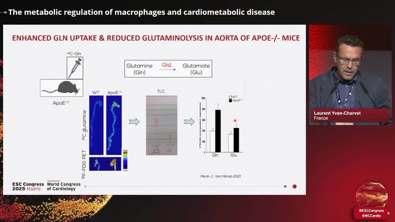 Vascular immunometabolism: emerging mechanisms and therapeutic opportunities