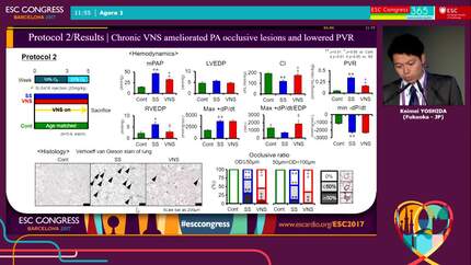 Vagal nerve stimulation ameliorates severe pulmonary arterial hypertension via anti-inflammatory effects in rats