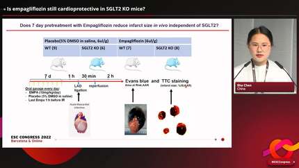 Presentation thumbnail