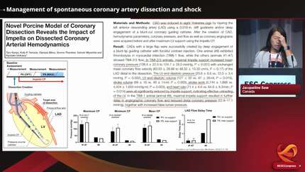 Management of spontaneous coronary artery dissection and shock