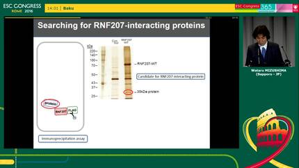 Presentation thumbnail