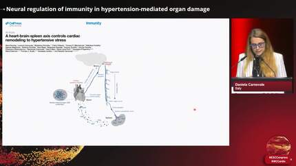 Presentation thumbnail