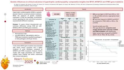 Genetic influences on clinical outcomes in hypertrophic cardiomyopathy: comparative insights into MYH7, MYBPC3 and TPM1 gene mutations