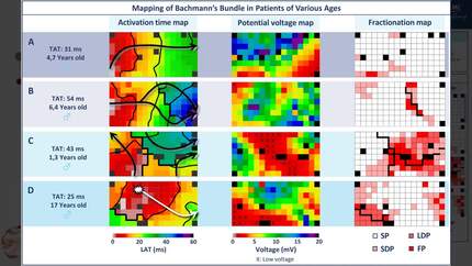 Presentation thumbnail