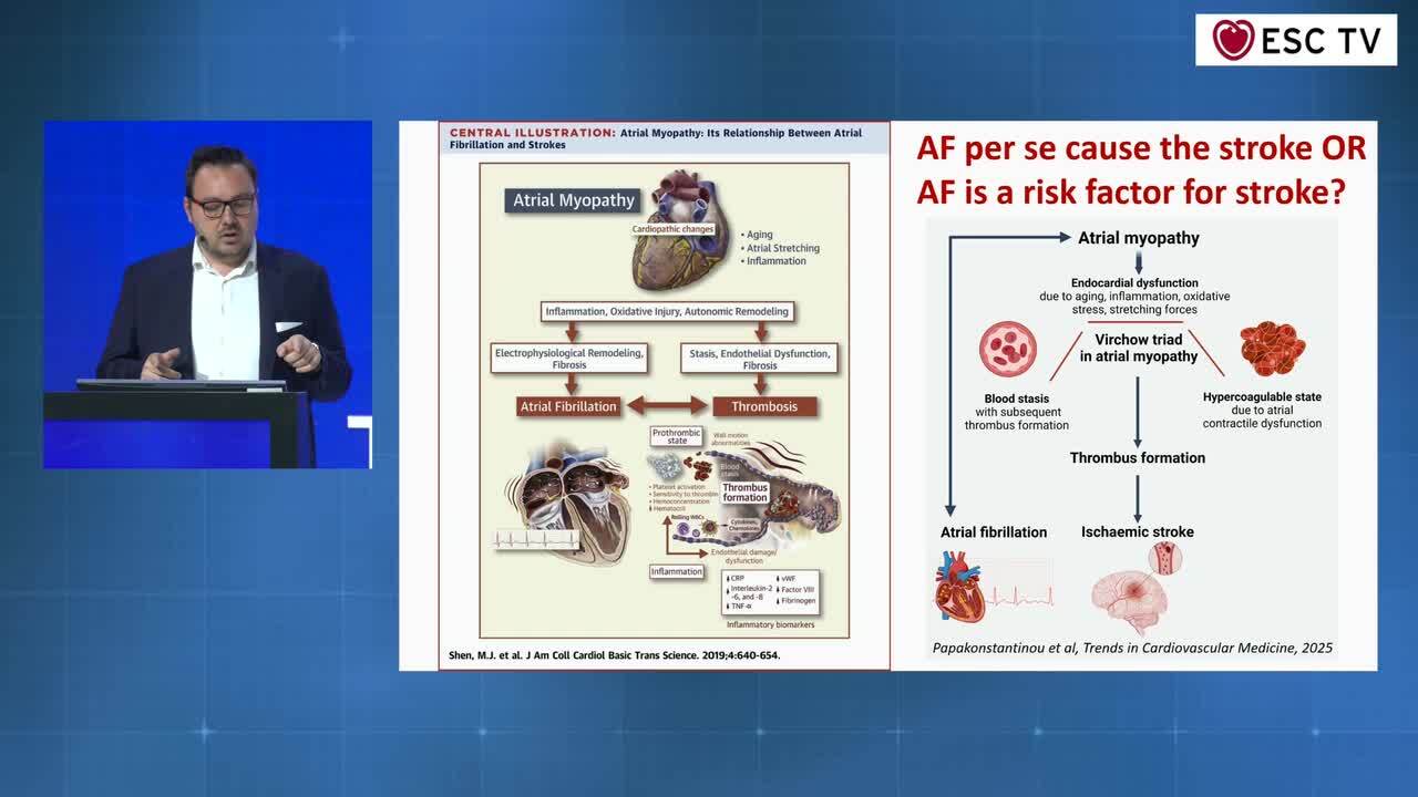 Presentation thumbnail