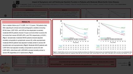Presentation thumbnail