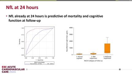 Presentation thumbnail