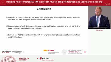 Decisive role of microRNA-494 in smooth muscle cell proliferation and vascular remodeling