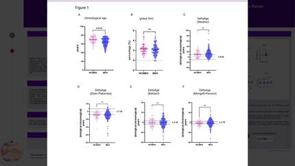 Epigenetic age of the male and female heart: insights into cardiovascular risk assessment across sexes