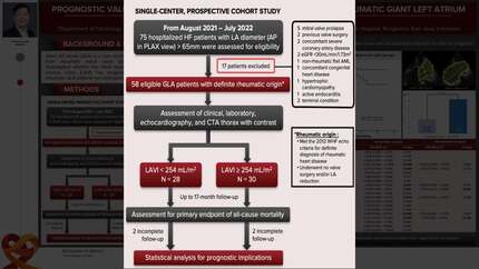Prognostic value of left atrial volume index in patients with rheumatic giant left atrium
