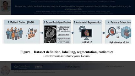 Beyond the visible: radiomic texture analysis of cardiovascular magnetic resonance for prediction of myocardial injury in acute myocarditis