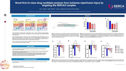 Presentation thumbnail