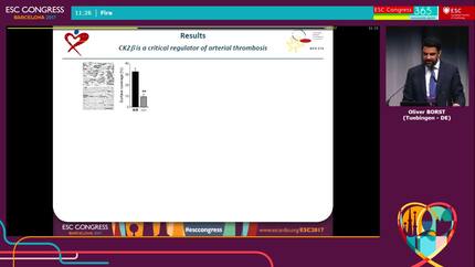 Presentation thumbnail