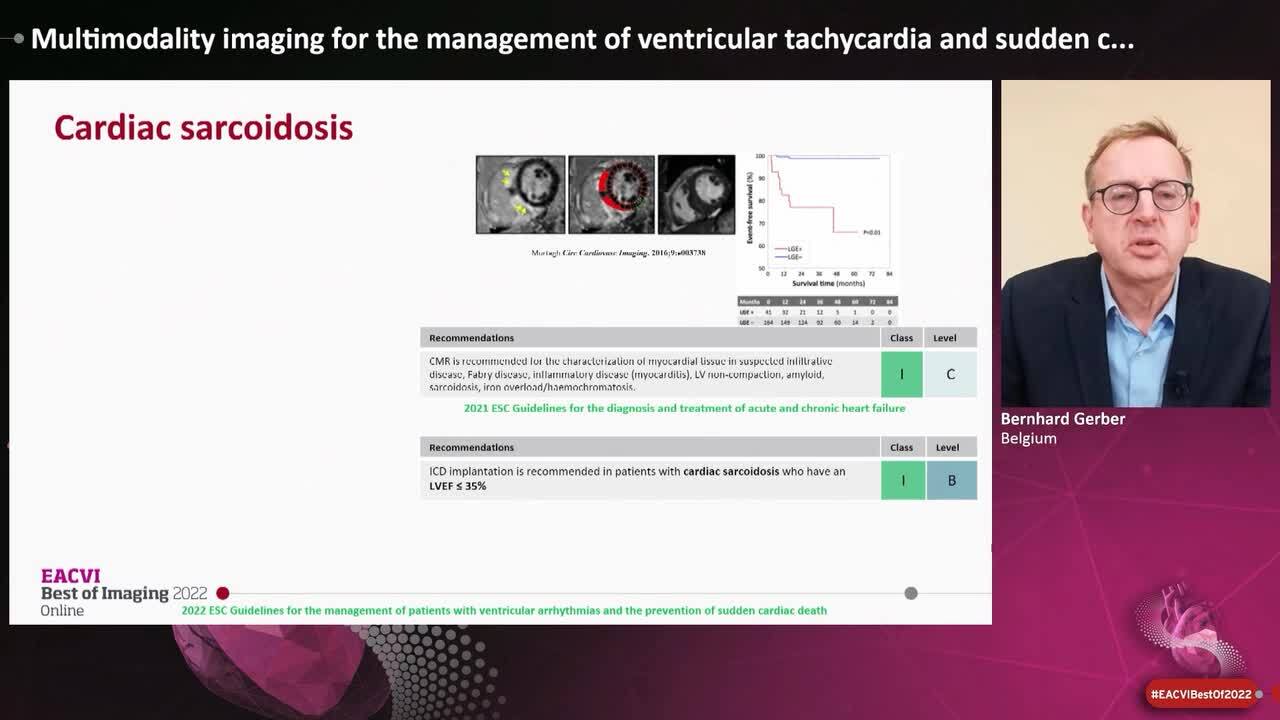 2022 ESC Guidelines relevant to the cardiac imager