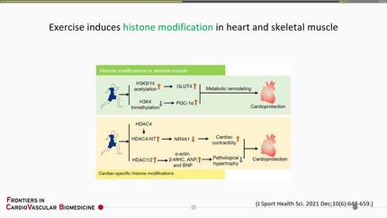 Presentation thumbnail