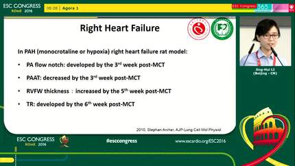 Phenotyping heart failure with echocardiography - Tips and tricks