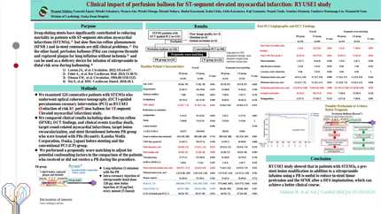 Clinical impact of perfusion balloon for ST-segment elevated myocardial infarction: RYUSEI study