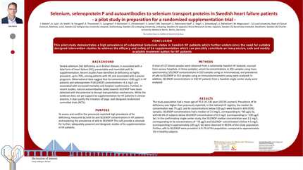 Presentation thumbnail