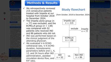 Presentation thumbnail