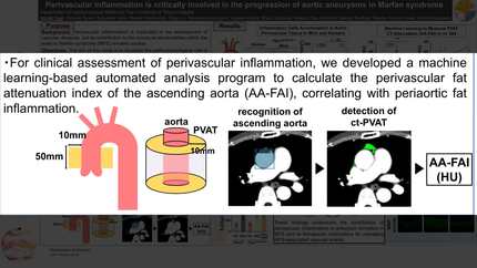 Presentation thumbnail