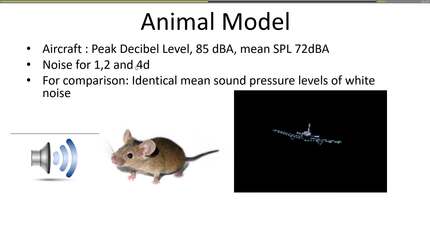 Presentation thumbnail