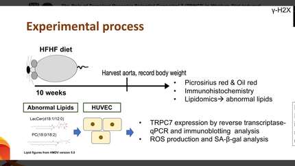 Presentation thumbnail