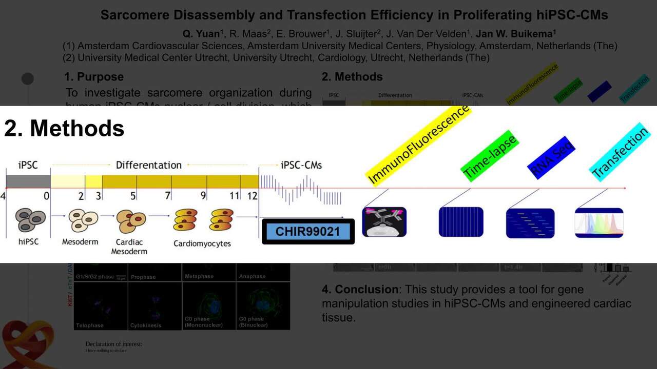Presentation thumbnail