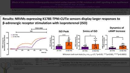 Presentation thumbnail