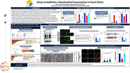 Presentation thumbnail