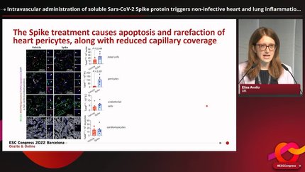 Presentation thumbnail