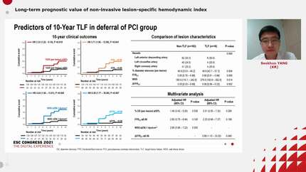 Long-term prognostic value of non-invasive lesion-specific hemodynamic index