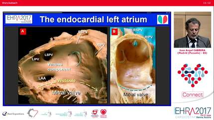 Presentation thumbnail
