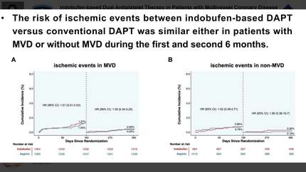 Indobufen-based dual antiplatelet therapy in patients with multivessel coronary disease undergoing drug-eluting stent implantation: insight from the OPTION trial