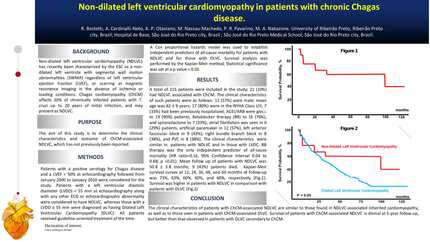 Non-dilated left ventricular cardiomyopathy in patients with chronic Chagas disease