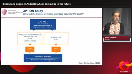 Presentation thumbnail