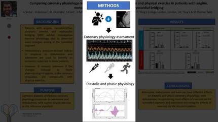 Presentation thumbnail