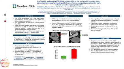 Peri-device leak post WATCHMAN implantation in the real world: lessons from computed tomography imaging at follow-up from a prospective multicenter high-volume operator registry in the US