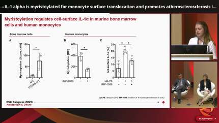 Presentation thumbnail