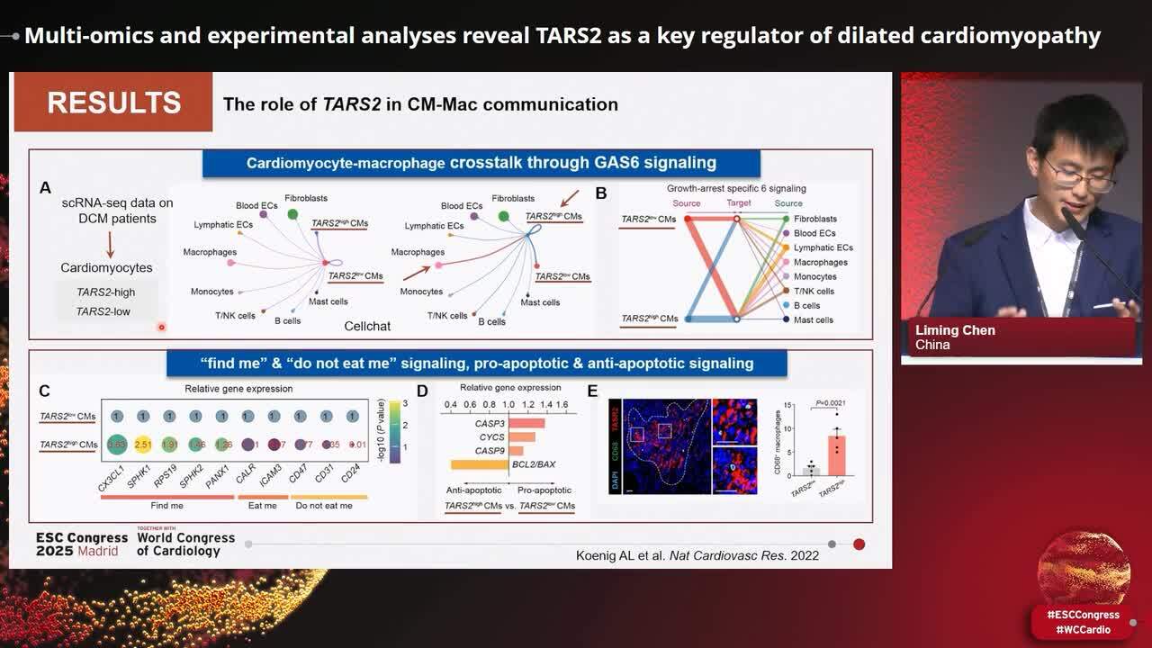 Molecular mechanisms and therapeutic targets in cardiomyopathy