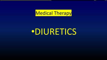 Maurizio Galderisi lecture on Multimodality Imaging