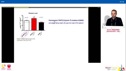 Energetic aspects to hypertrophic cardiomyopathy.